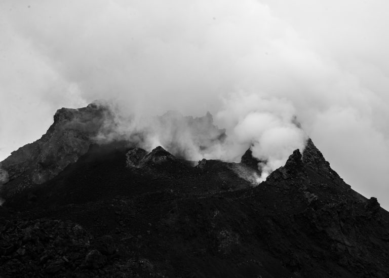 DSC_4445